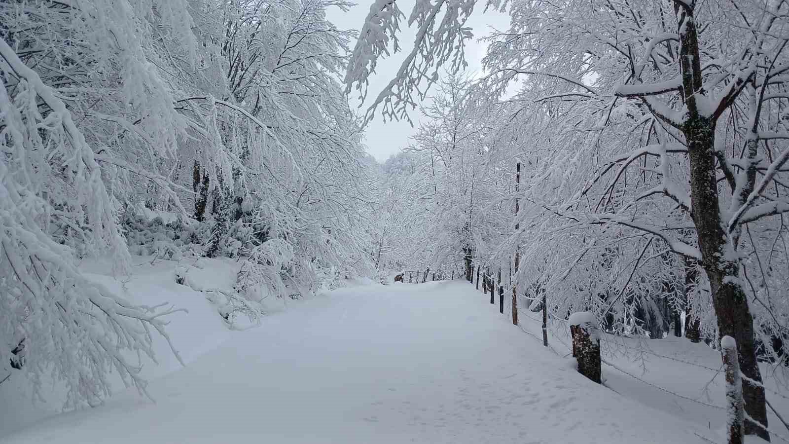 Sakarya’da aynı anda iki mevsim yaşanıyor
