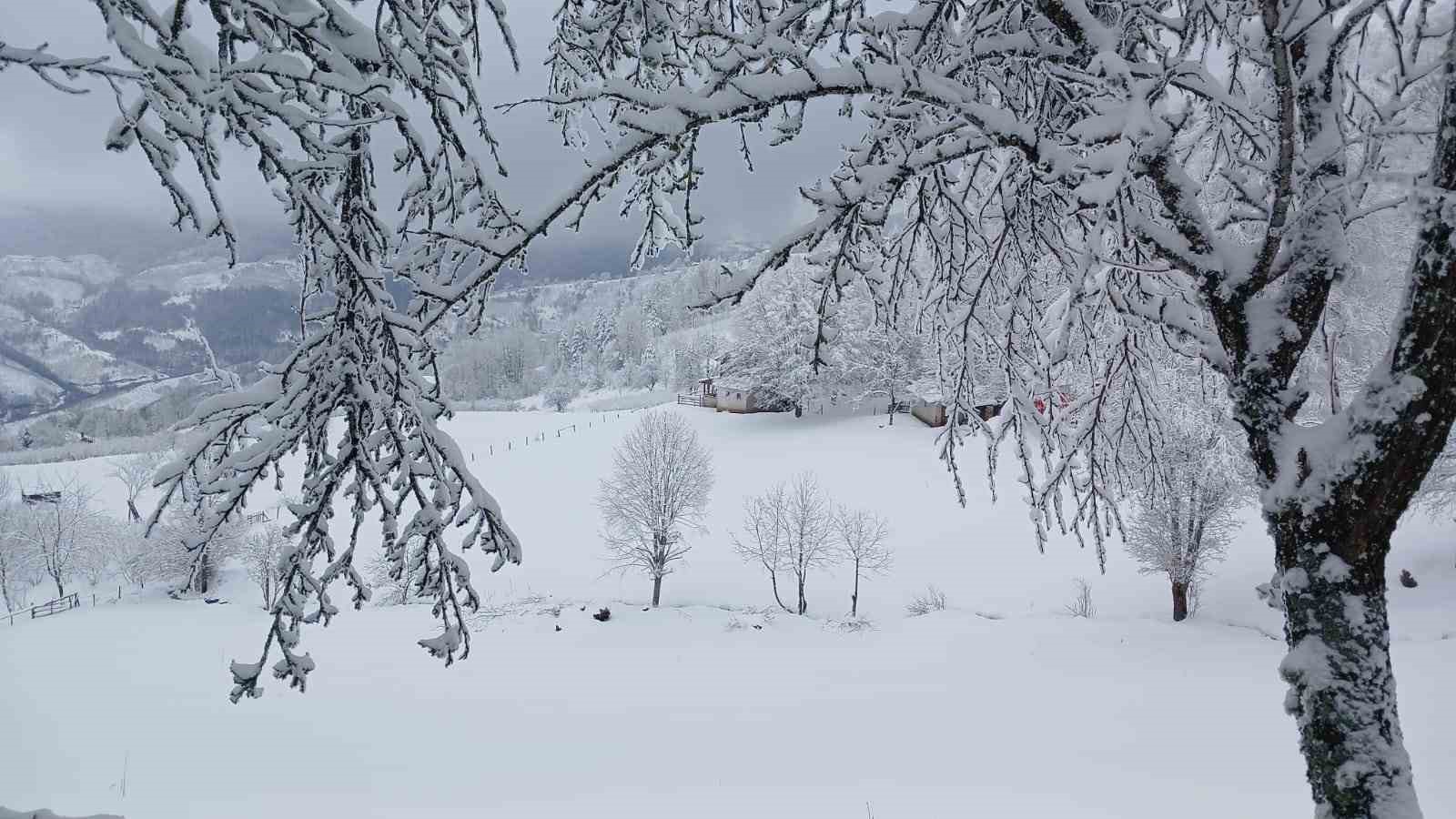 Sakarya’da aynı anda iki mevsim yaşanıyor
