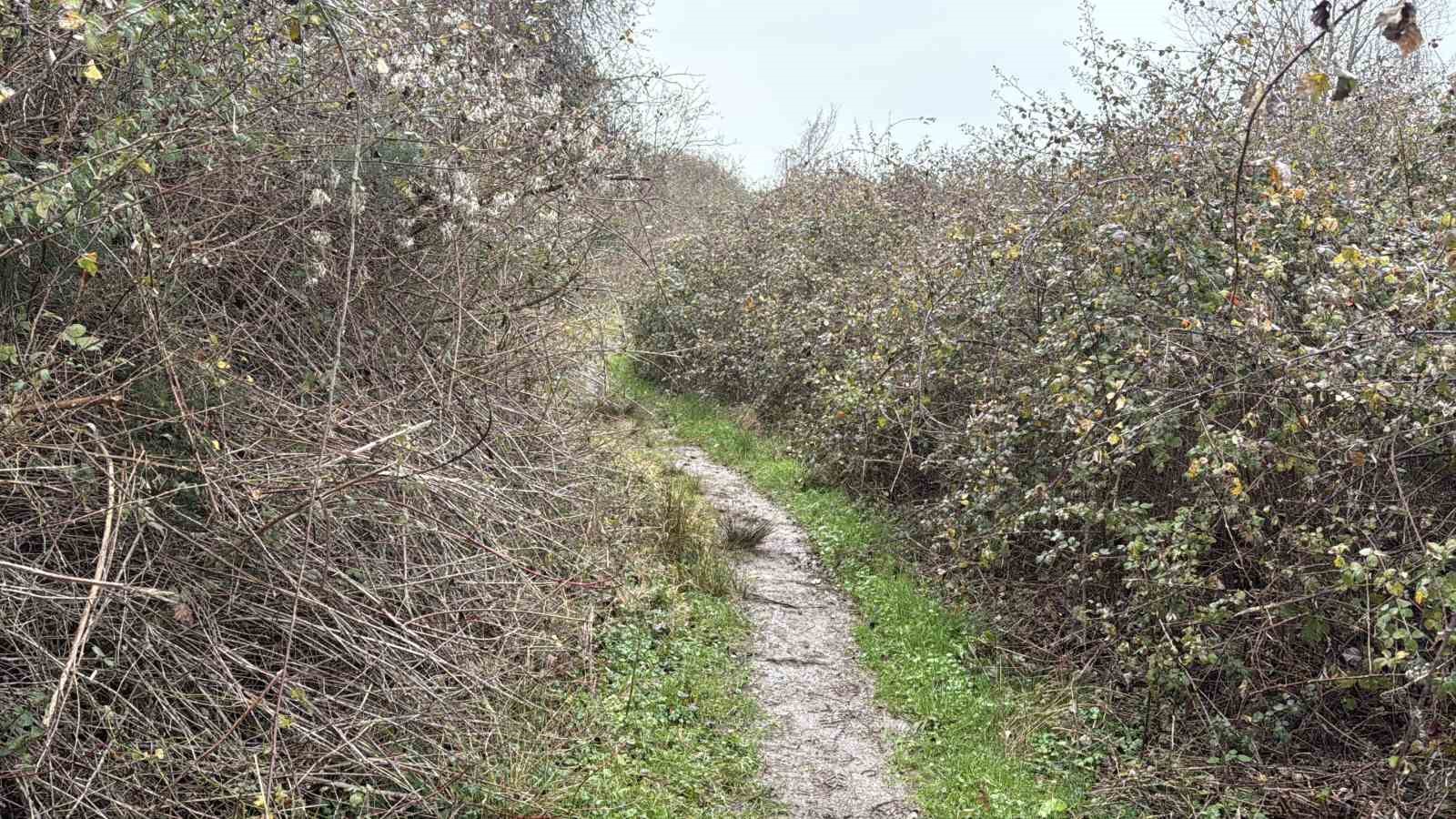 Sakarya’da iki gündür haber alınamayan 40 yaşındaki adamın cansız bedenine ulaşıldı
