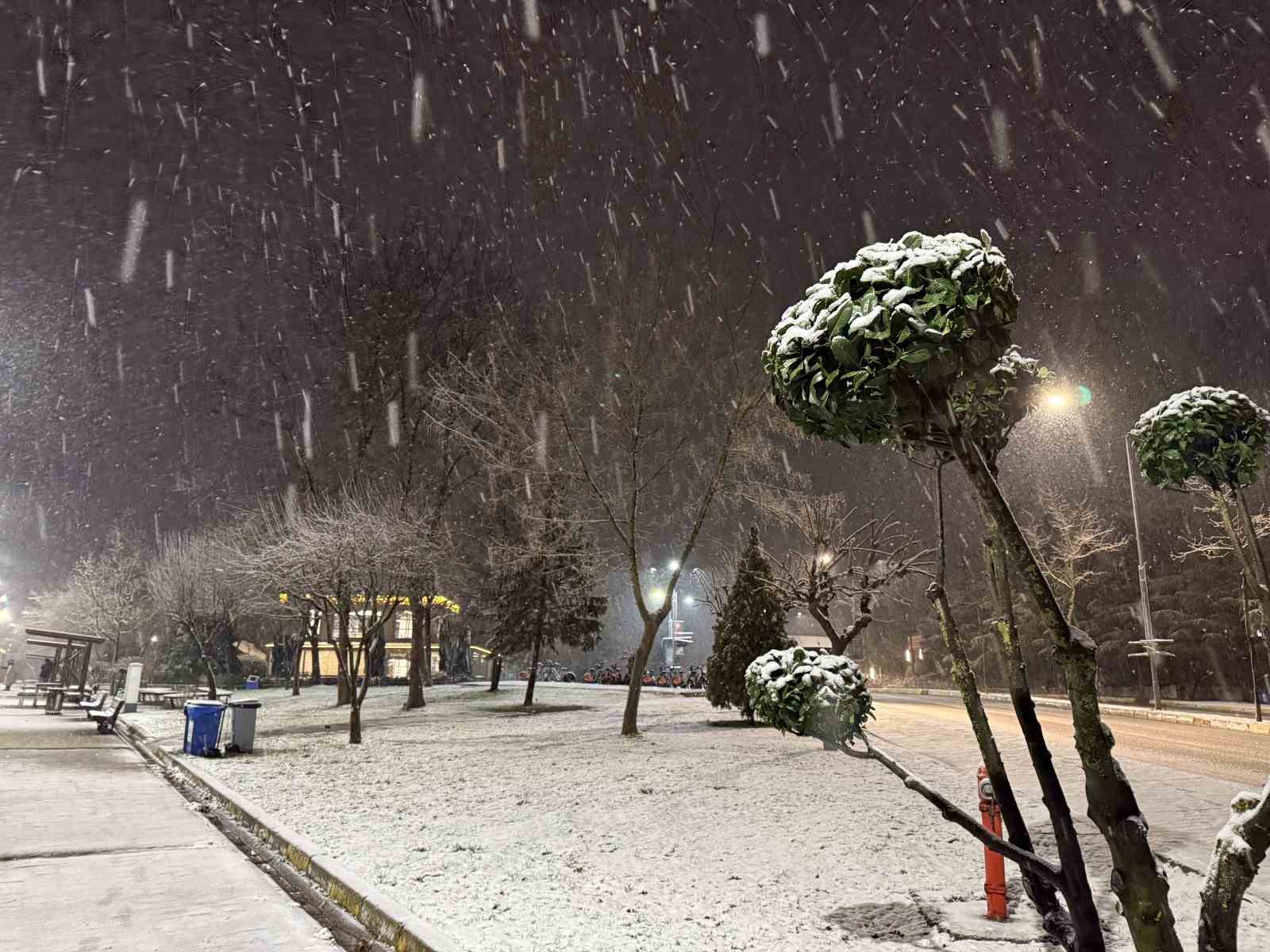 Sakarya’da lapa lapa kar yağışı başladı

