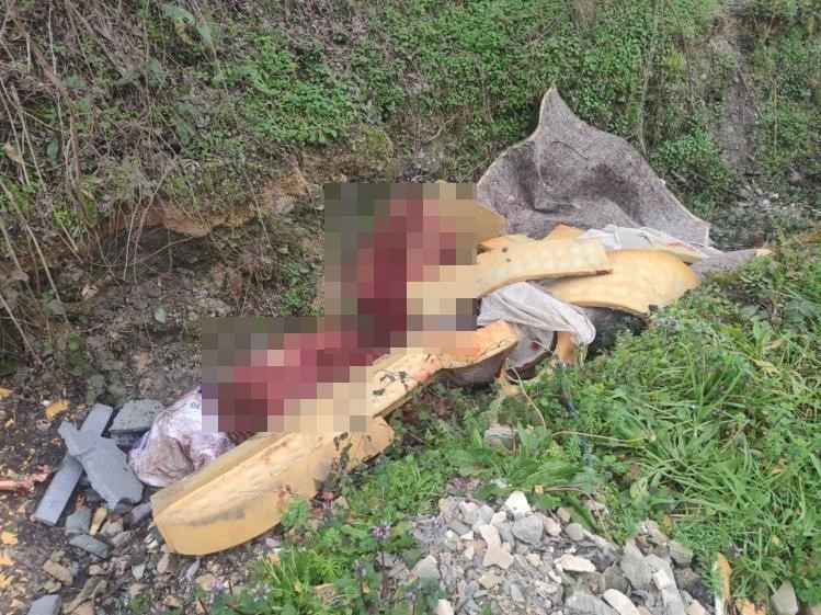 Sakarya’da otoyol kenarındaki kemikler jandarmayı at kasaplarına götürdü
