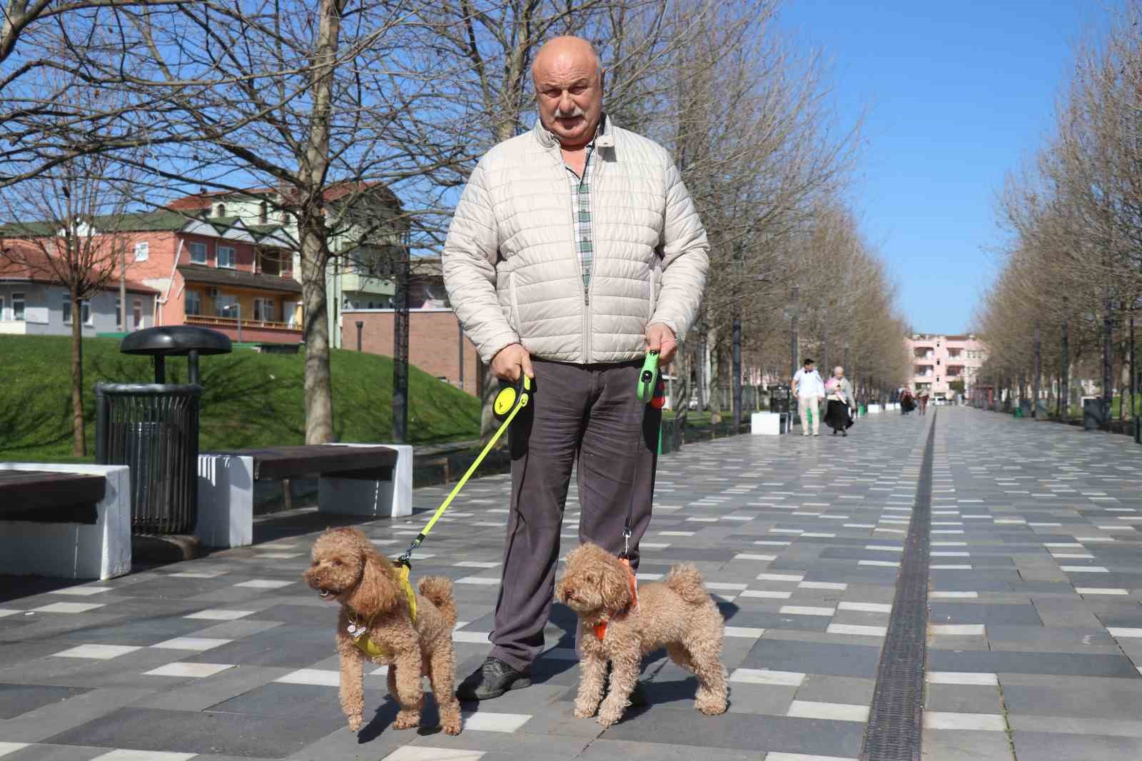 Sakarya’da şubat ayında bahardan kalma günler yaşanıyor
