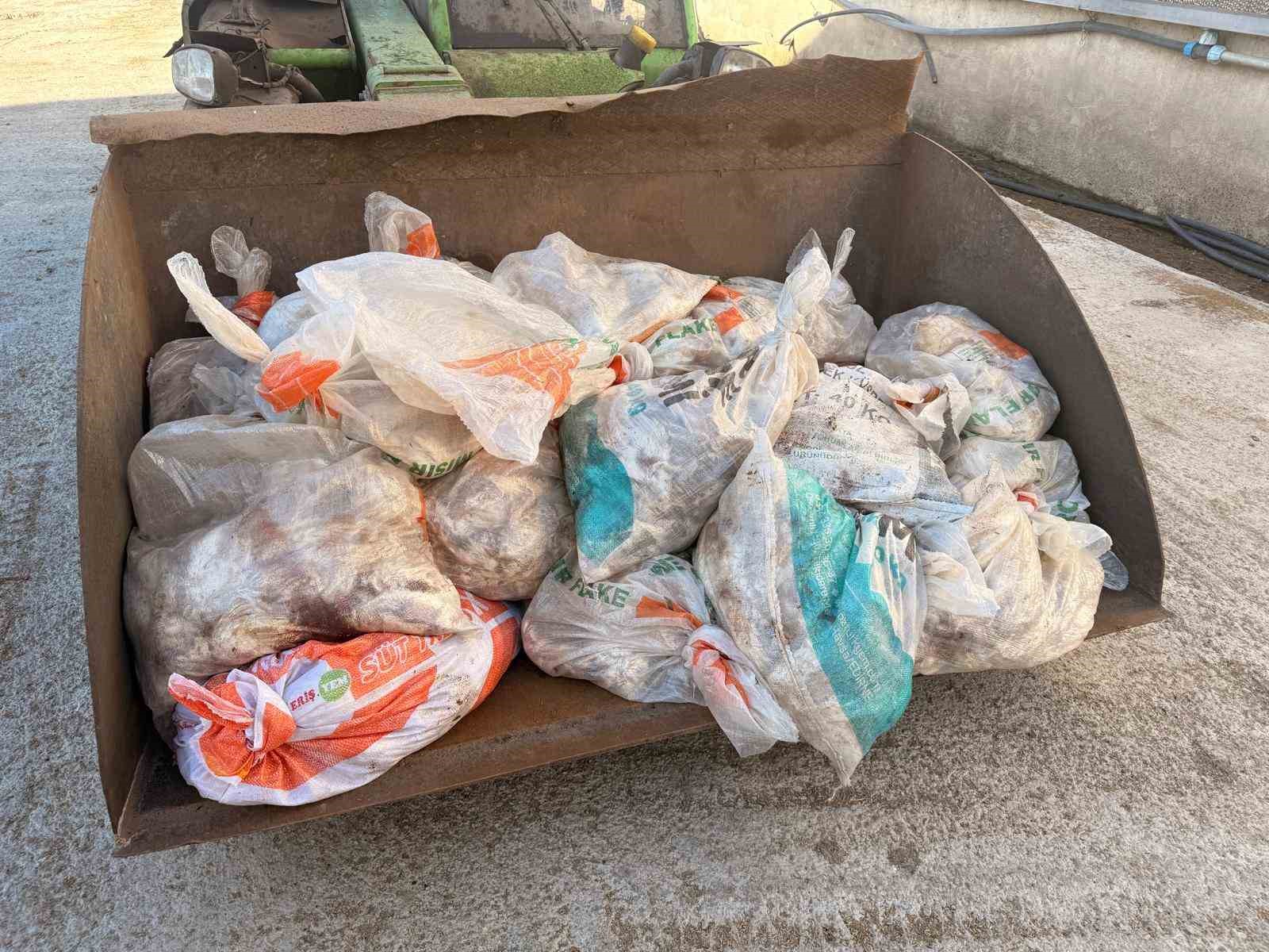 Sakarya’da tavuk çiftliğine biyogüvenlik kısıtlaması
