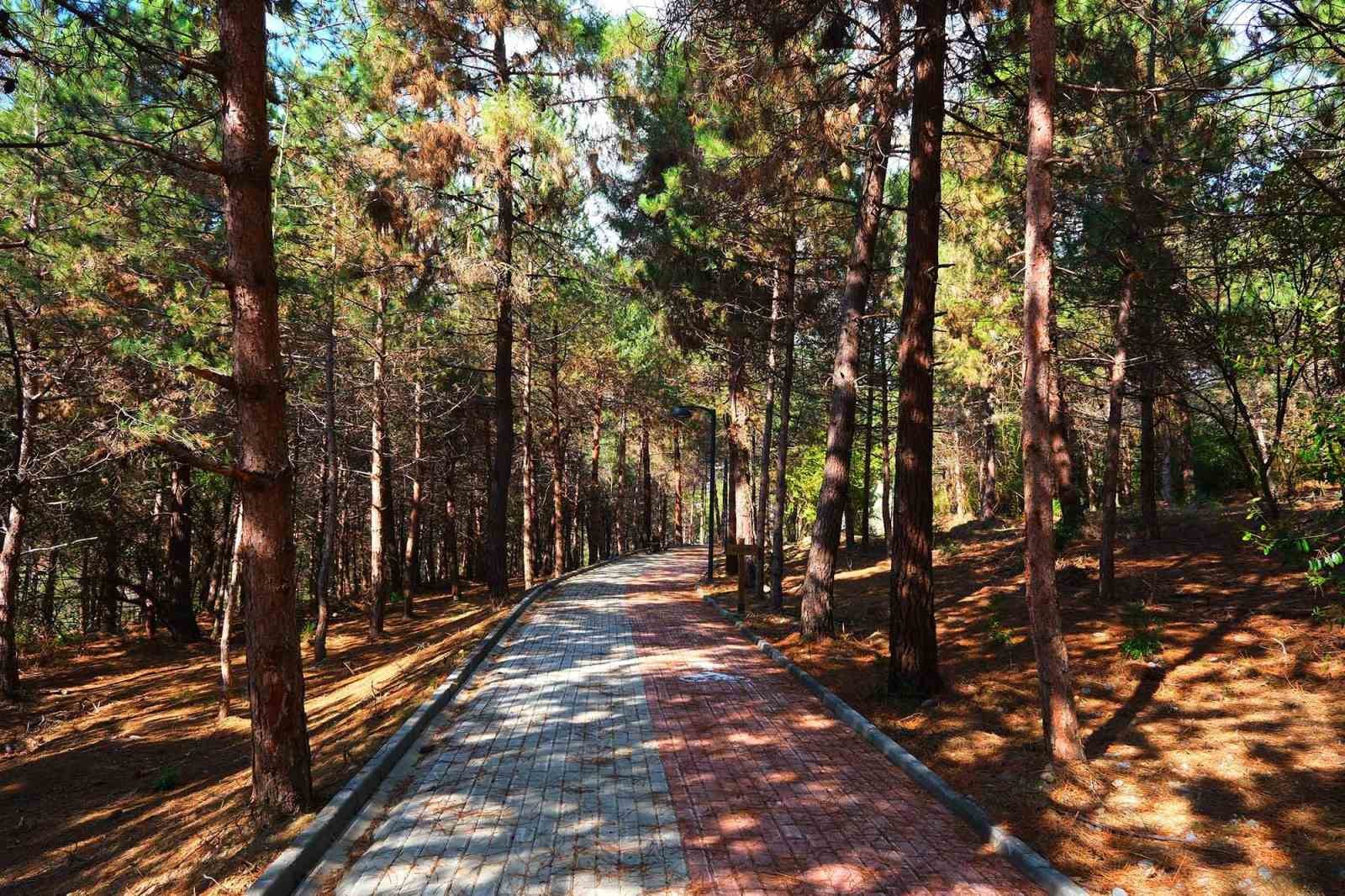 Sakaryalılar 23 Nisan Halk Koşusu’nda bulaşacak
