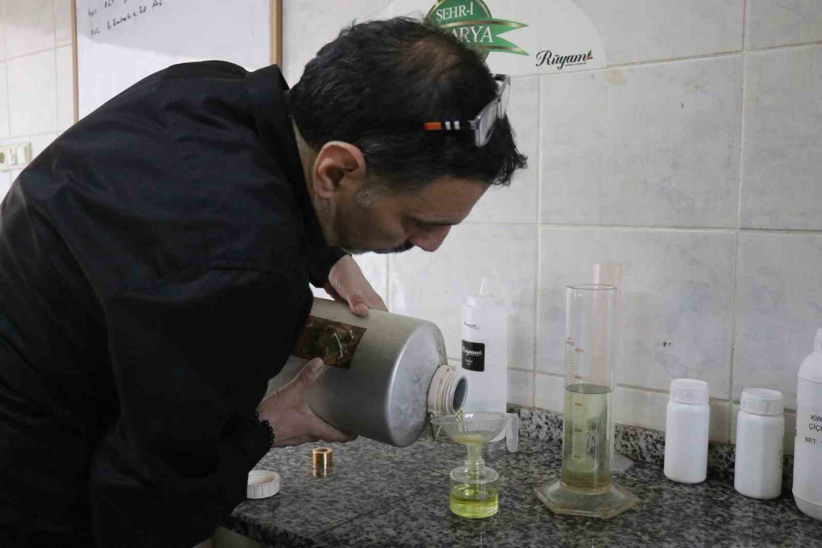 Sakarya’nın çiçekleri şişelendi, kokusu dünyayı sardı
