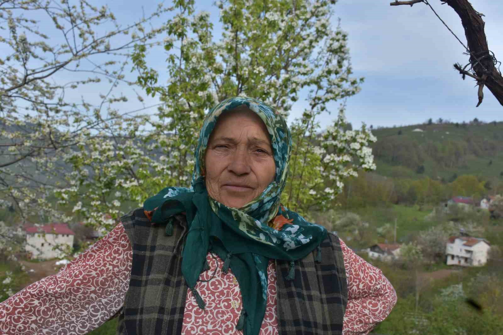 Sakarya’nın yüksek kesimlerinde bahar güzelliği
