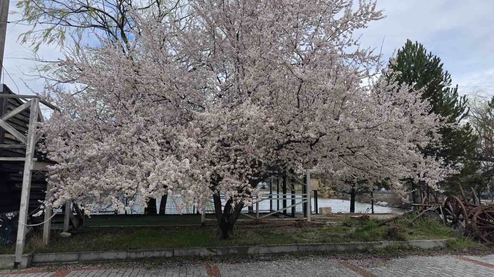 Saklıgöl, ilkbaharla birlikte ayrı bir güzelliğe büründü
