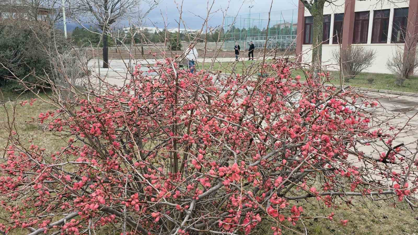 Saklıgöl, ilkbaharla birlikte ayrı bir güzelliğe büründü
