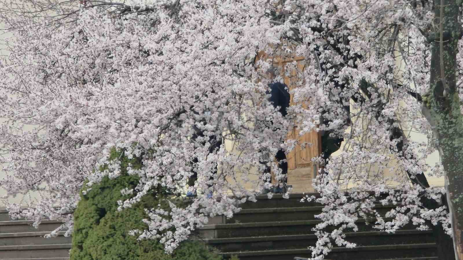 Saklıgöl, ilkbaharla birlikte ayrı bir güzelliğe büründü
