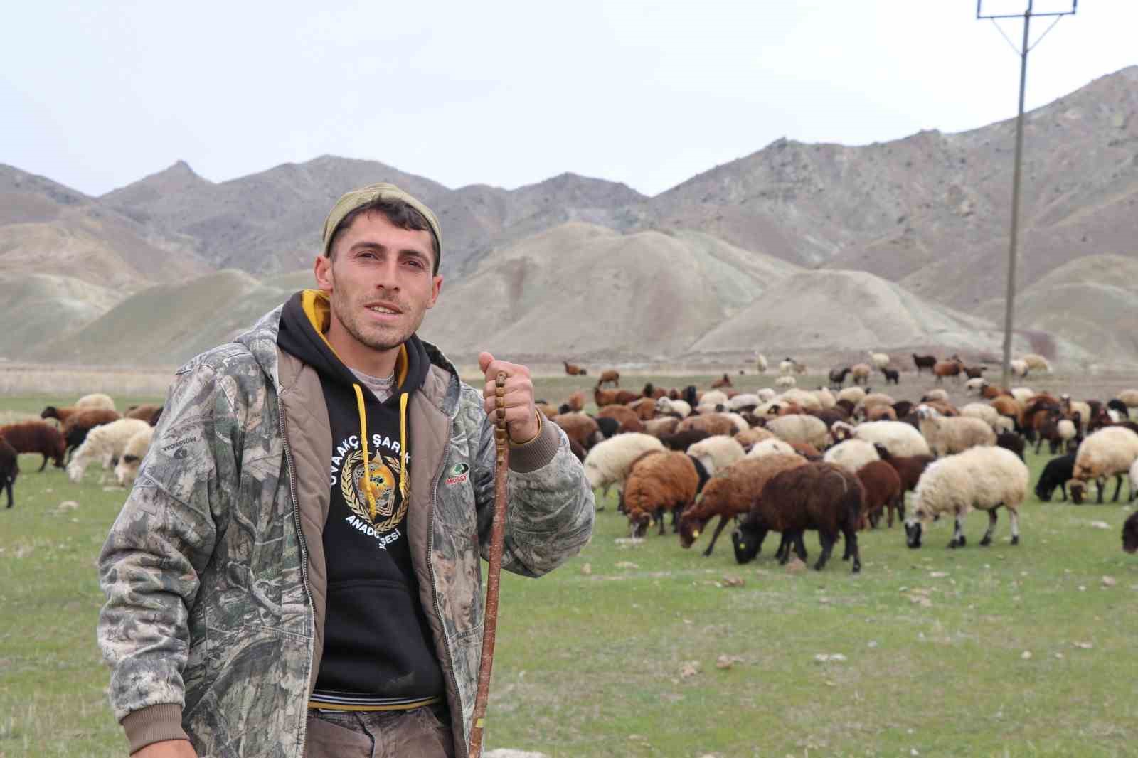 Saksağandan etkilendi, çobanlığı dijitalleştirdi, artık koyun sürüsünü dronle yönetiyor
Saksağandan etkilendi, çobanlığı dijitalleştirdi, artık koyun sürüsünü dronle yönetiyor