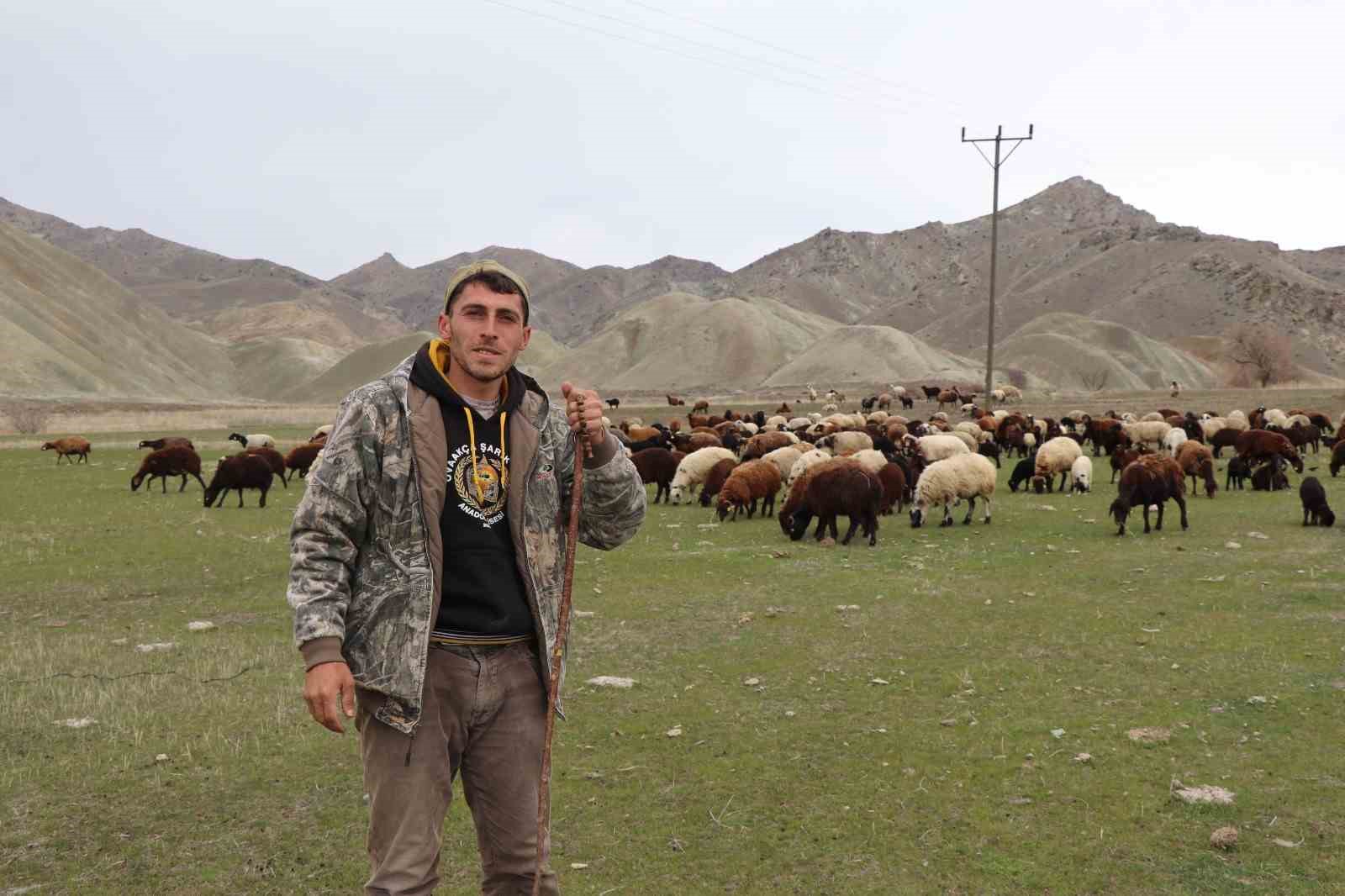 Saksağandan etkilendi, çobanlığı dijitalleştirdi, artık koyun sürüsünü dronle yönetiyor
Saksağandan etkilendi, çobanlığı dijitalleştirdi, artık koyun sürüsünü dronle yönetiyor