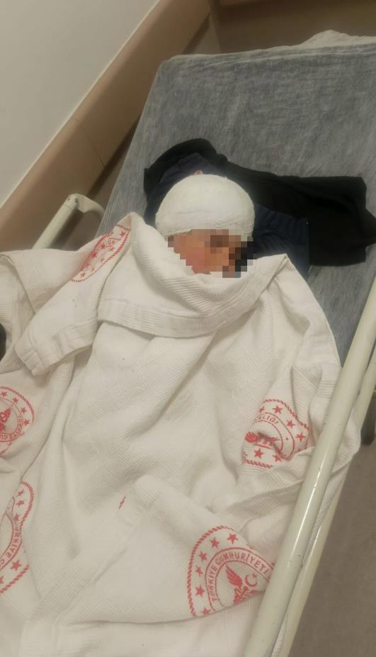 Saldırgan köpeğin resmî olmayan sahibi ortaya çıktı
