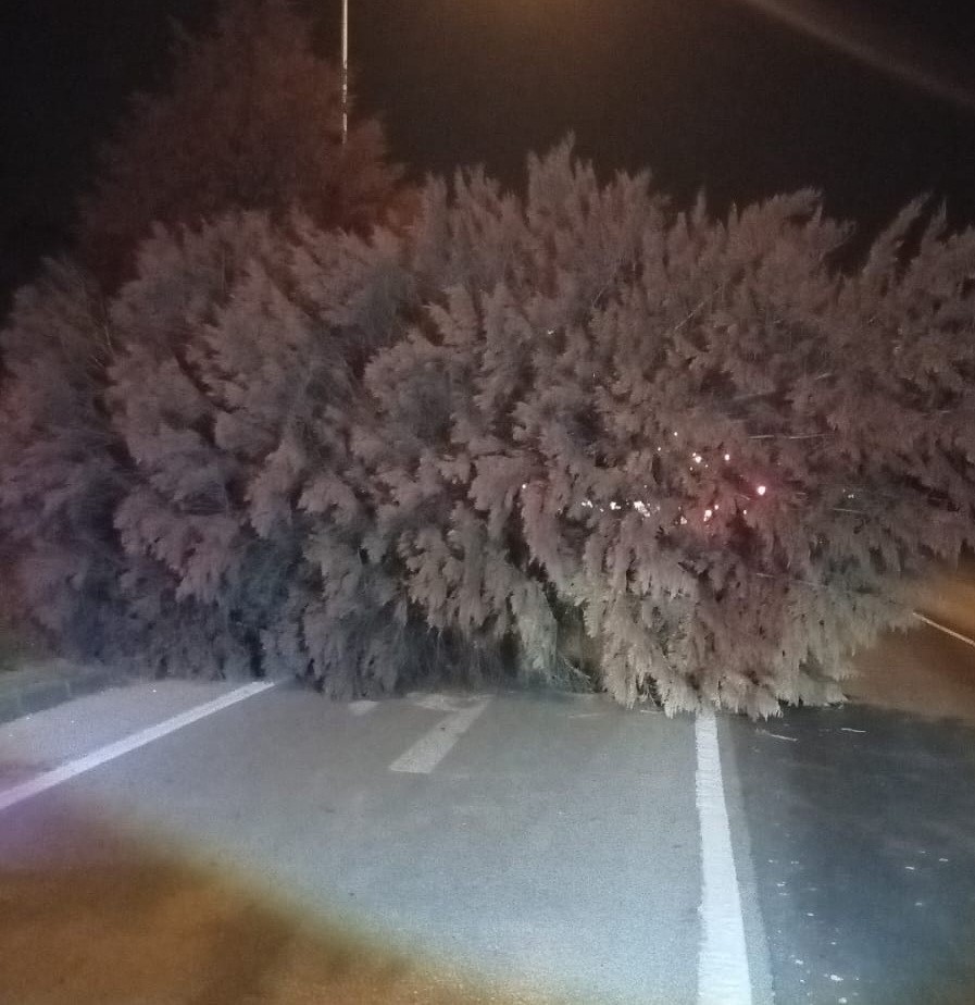 Salihli ilçesini fırtına vurdu, minarenin külahı koptu, çok sayıda ağaç devrildi
