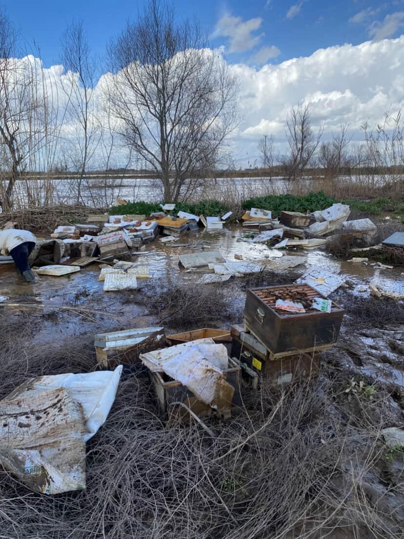 Salihli’de 103 kovan arı sele kapıldı
