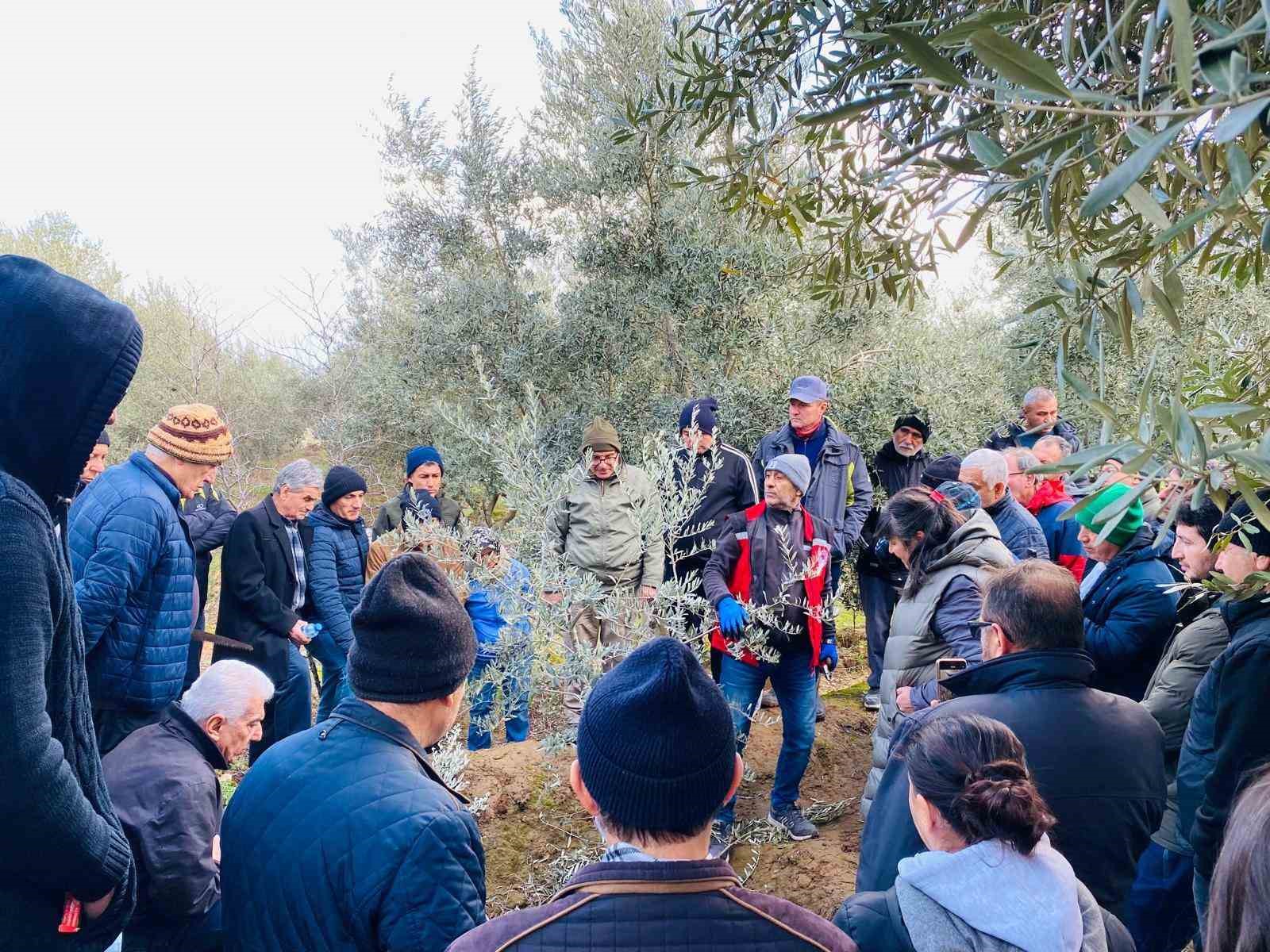 Salihli’de üreticilere ücretsiz budama kursuna yoğun ilgi
