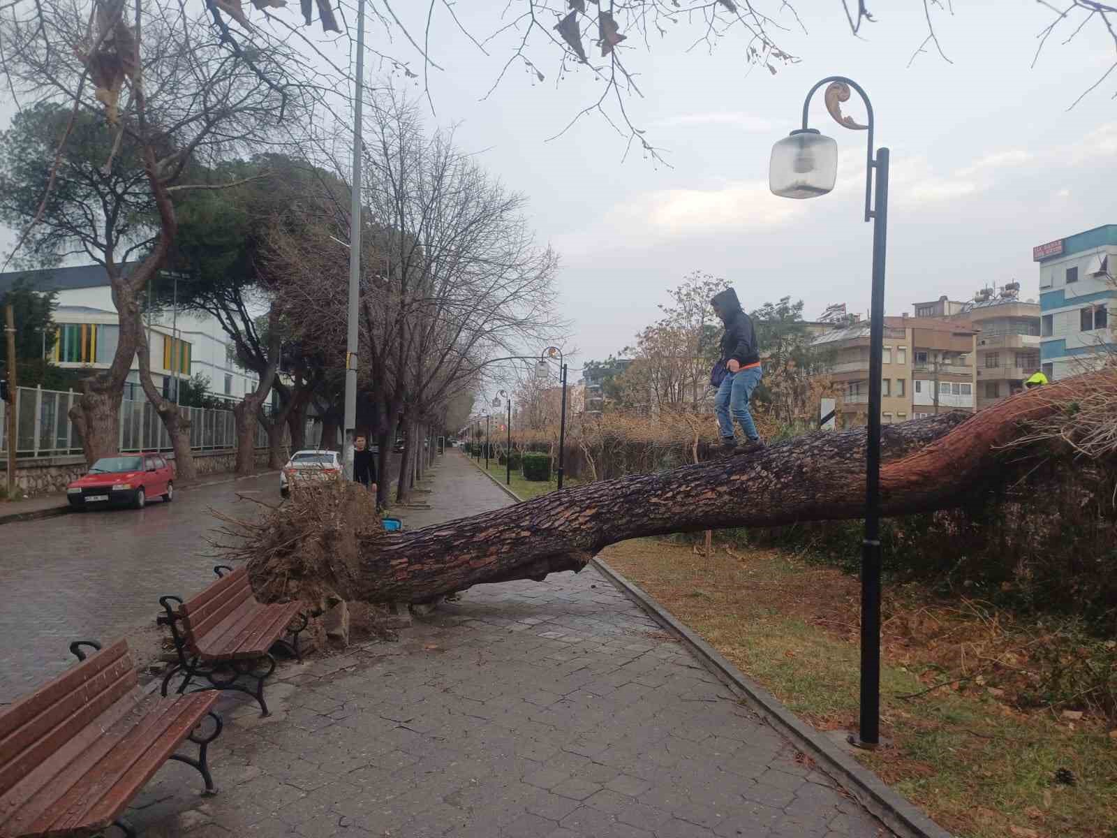 Salihli’yi fırtına vurdu, ağaçlar devrildi, çatılar uçtu
