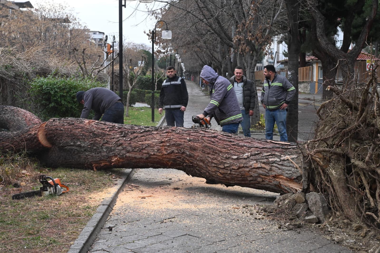 Salihli’yi fırtına vurdu, ağaçlar devrildi, çatılar uçtu
