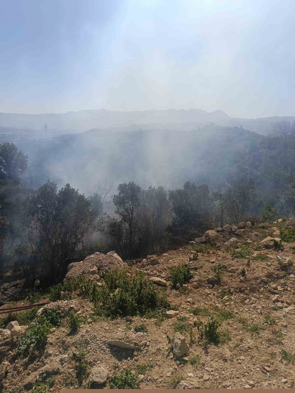 Samandağ’da ormanlık alanda çıkan yangın kısa sürede kontrol altına alındı

