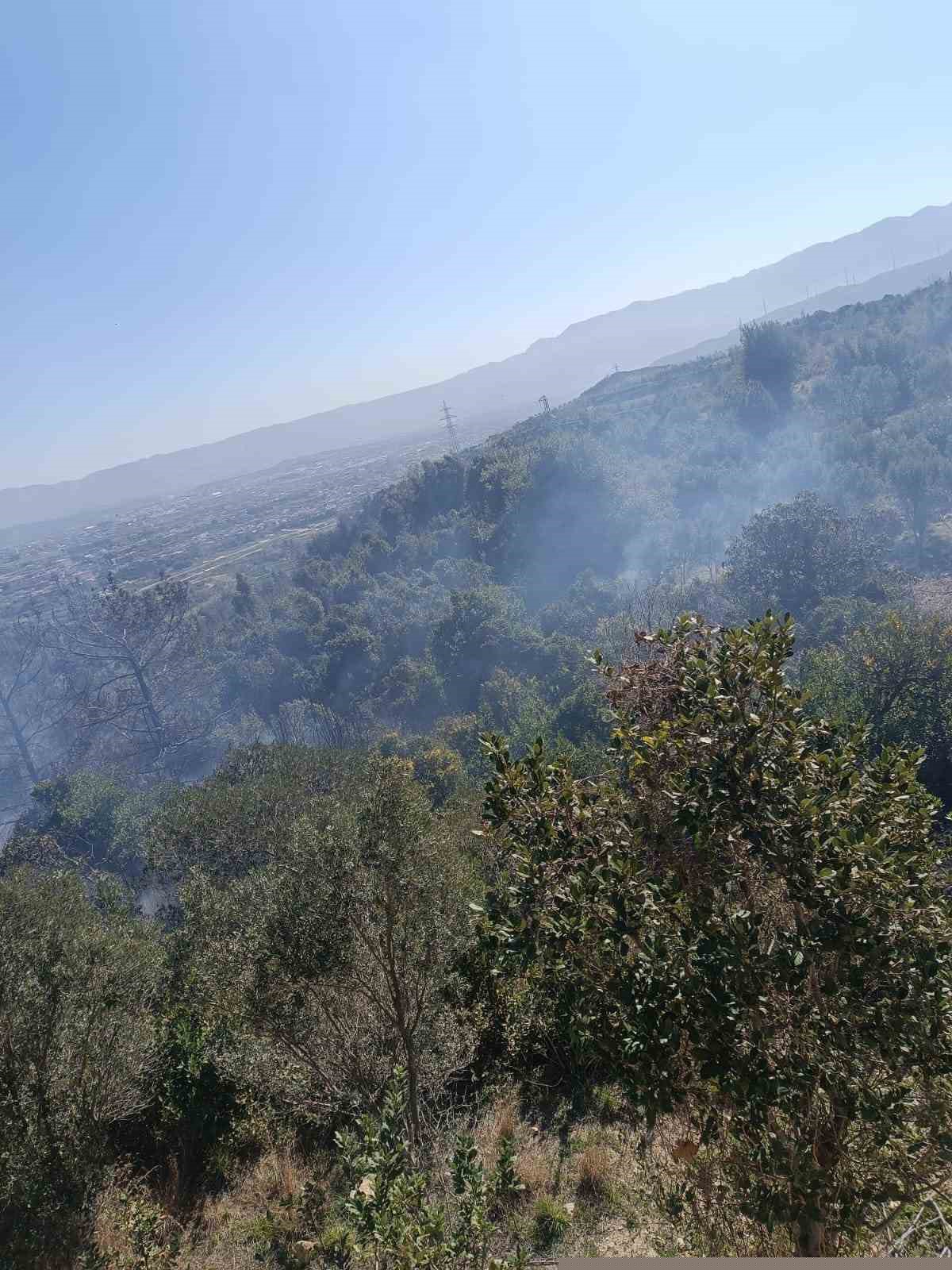 Samandağ’da ormanlık alanda çıkan yangın kısa sürede kontrol altına alındı
