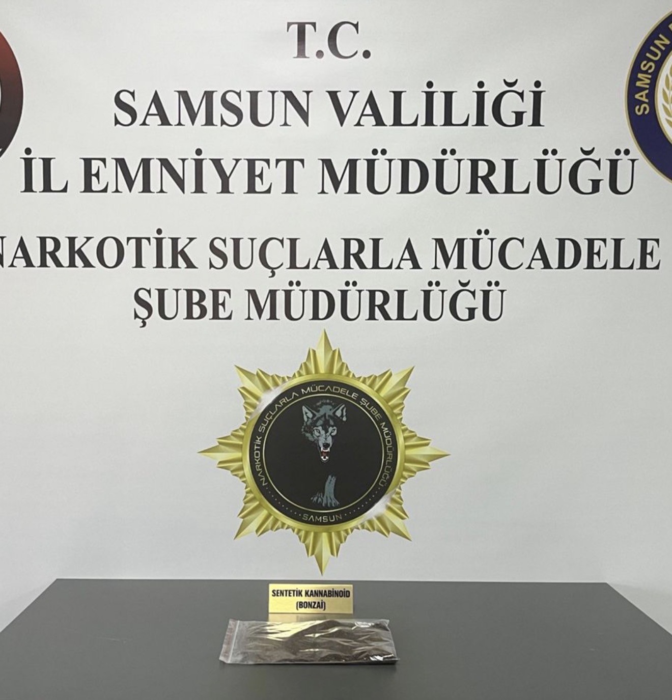 Samsun’da 3 ilçede narkotik operasyonu: 10 kişi yakalandı
