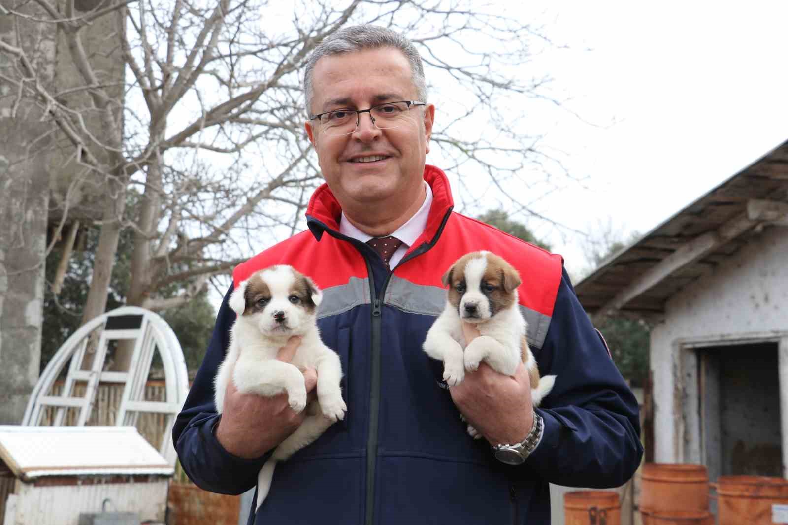 Samsun’da ari işletme sayısı artıyor
