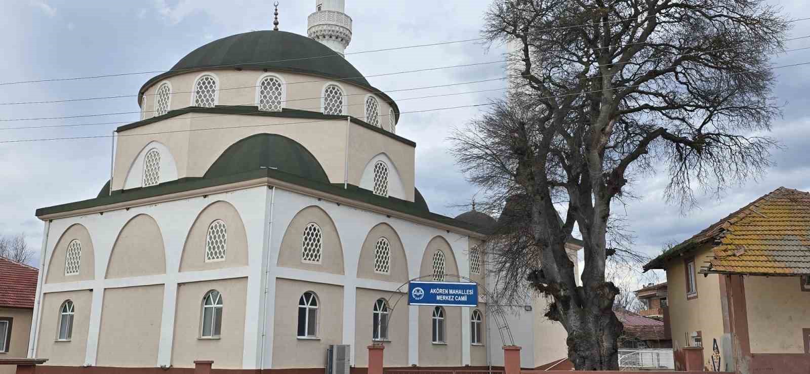 Samsun’da asırlık çitlembik ağacı için ’koruma’ çağrısı

