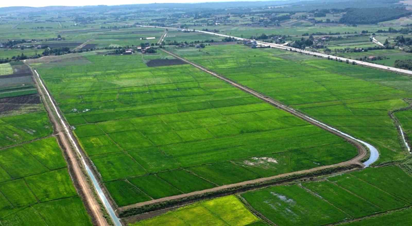 Samsun’da bozulan tarım arazileri cezasız kalmadı: 48 işlem uygulandı
