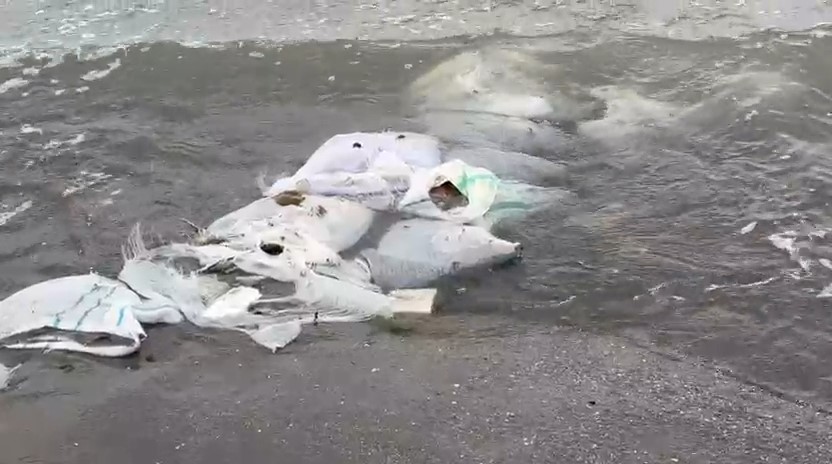 Samsun’da denizde çuvallar içinde inşaat malzemesi bulundu
