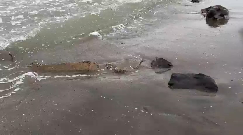 Samsun’da denizde çuvallar içinde inşaat malzemesi bulundu
