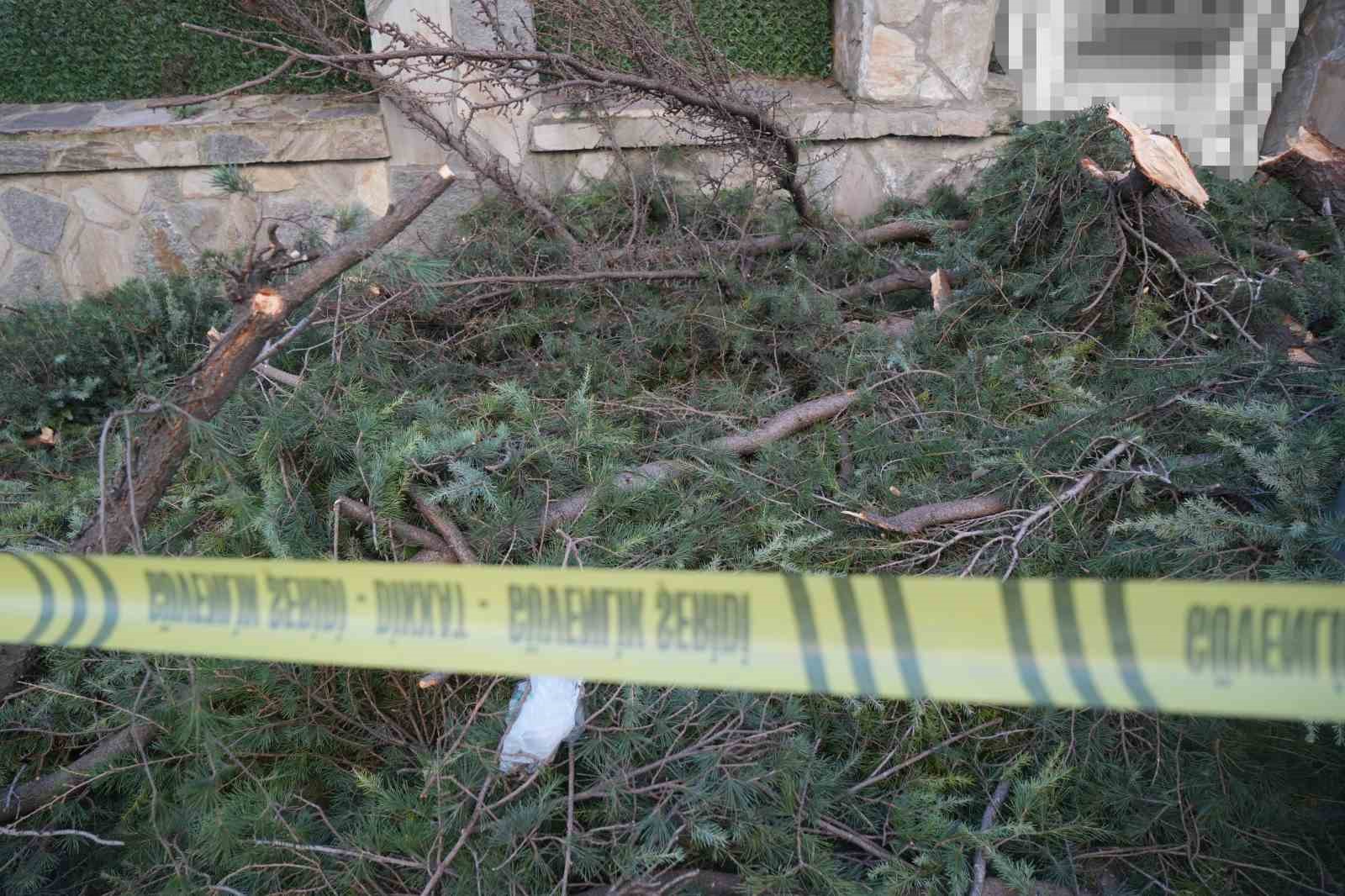 Samsun’da fırtına park halindeki otomobile zarar verdi, çatıları uçurdu
