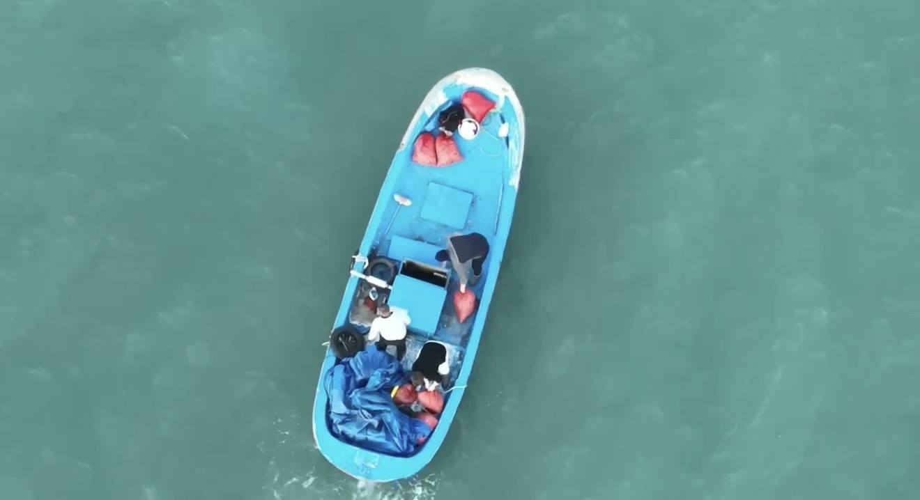 Samsun’da havadan ve denizden kaçak avcılık denetimi
