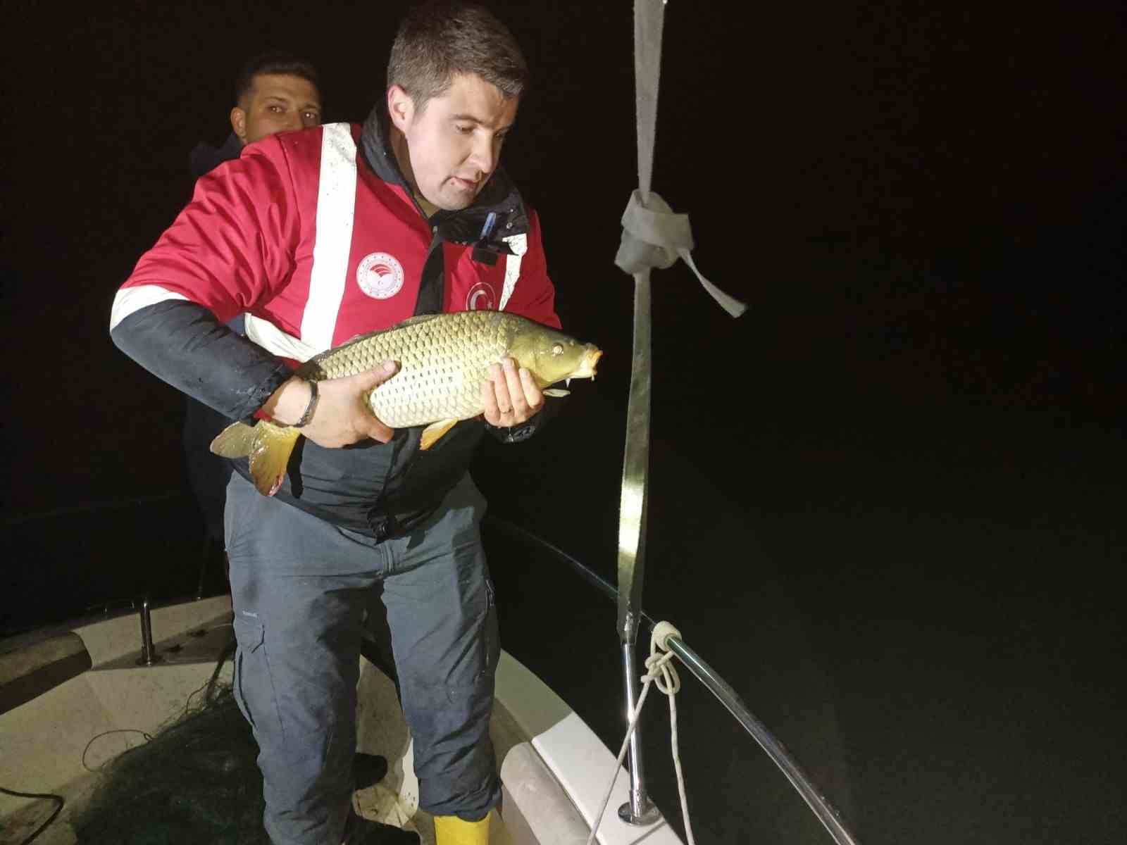 Samsun’da kaçak avcılığa geçit yok: 60 kiloluk sazan geri salındı

