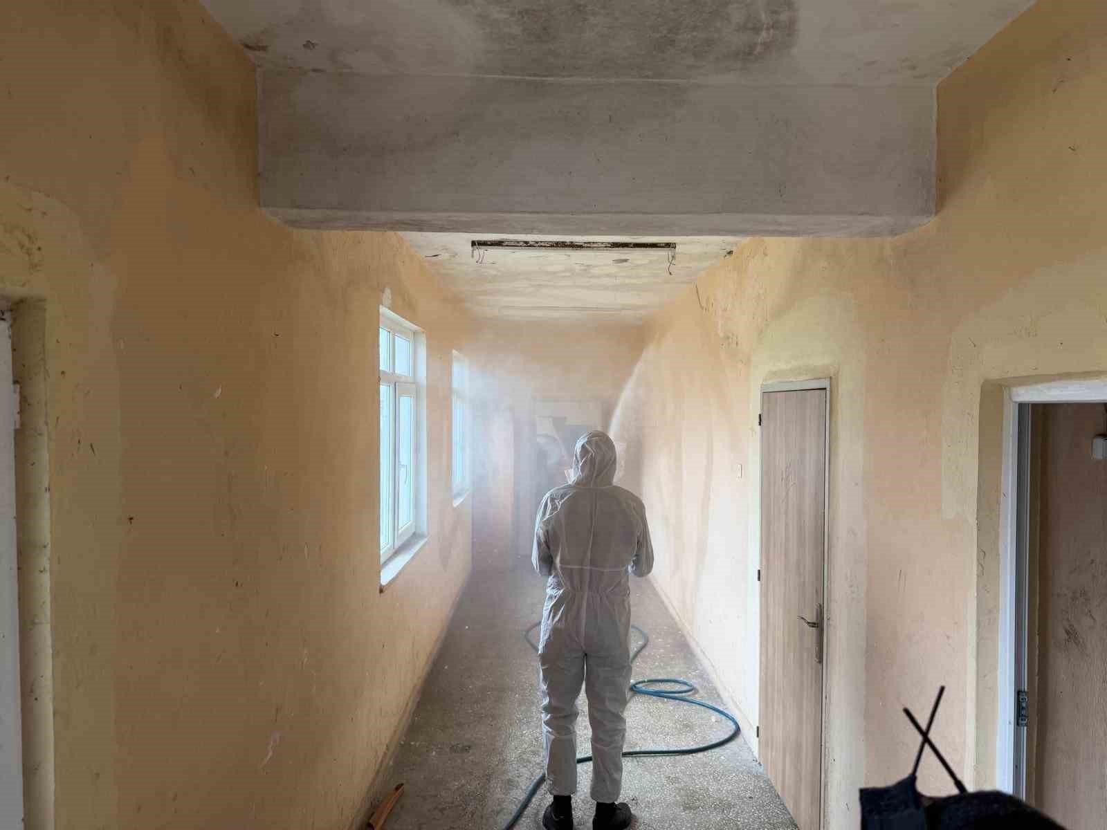 Samsun’da kokarca zararlısına karşı mücadele sürüyor
