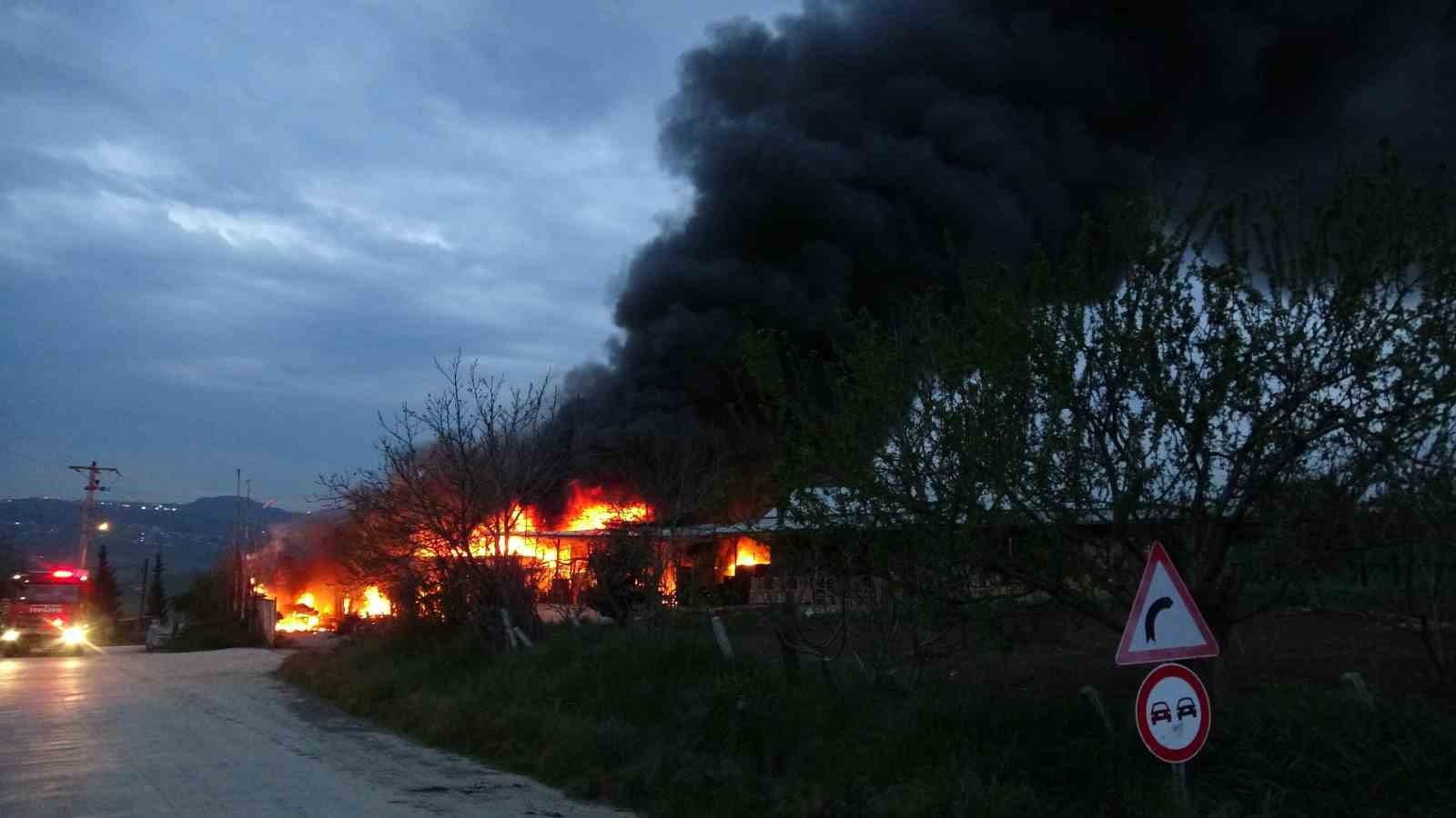 Samsun’da meyve deposunda yangın: Ekipler müdahale ediyor
