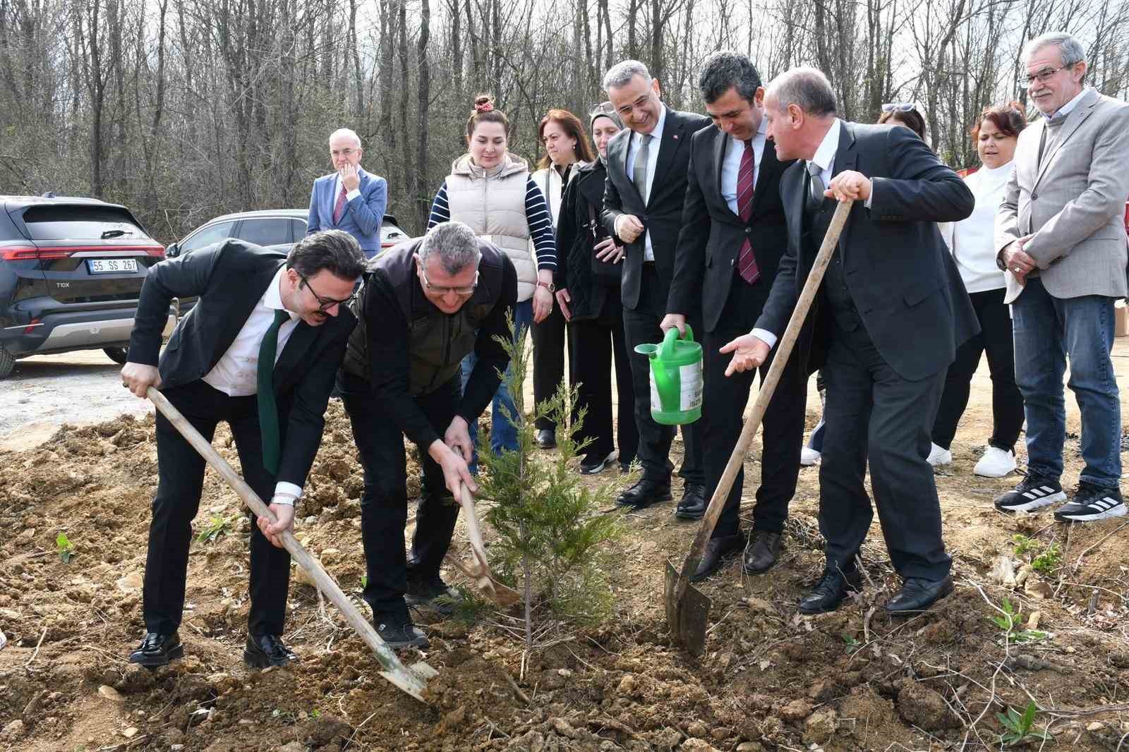 Samsun’da ormanlar ağaçlandırılıyor
