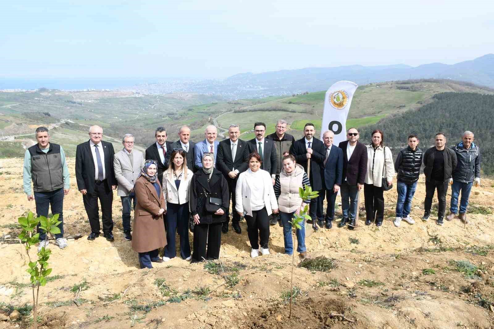 Samsun’da ormanlar ağaçlandırılıyor
