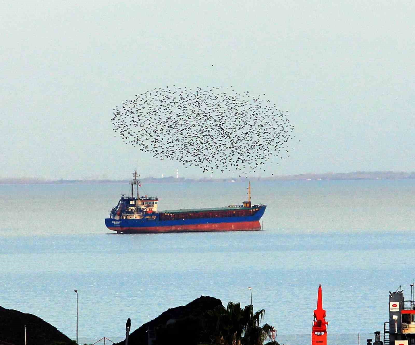 Samsun’dan objektife yansıyanlar: Gökyüzü büyüledi, şehir ışıkları geceyi aydınlattı
