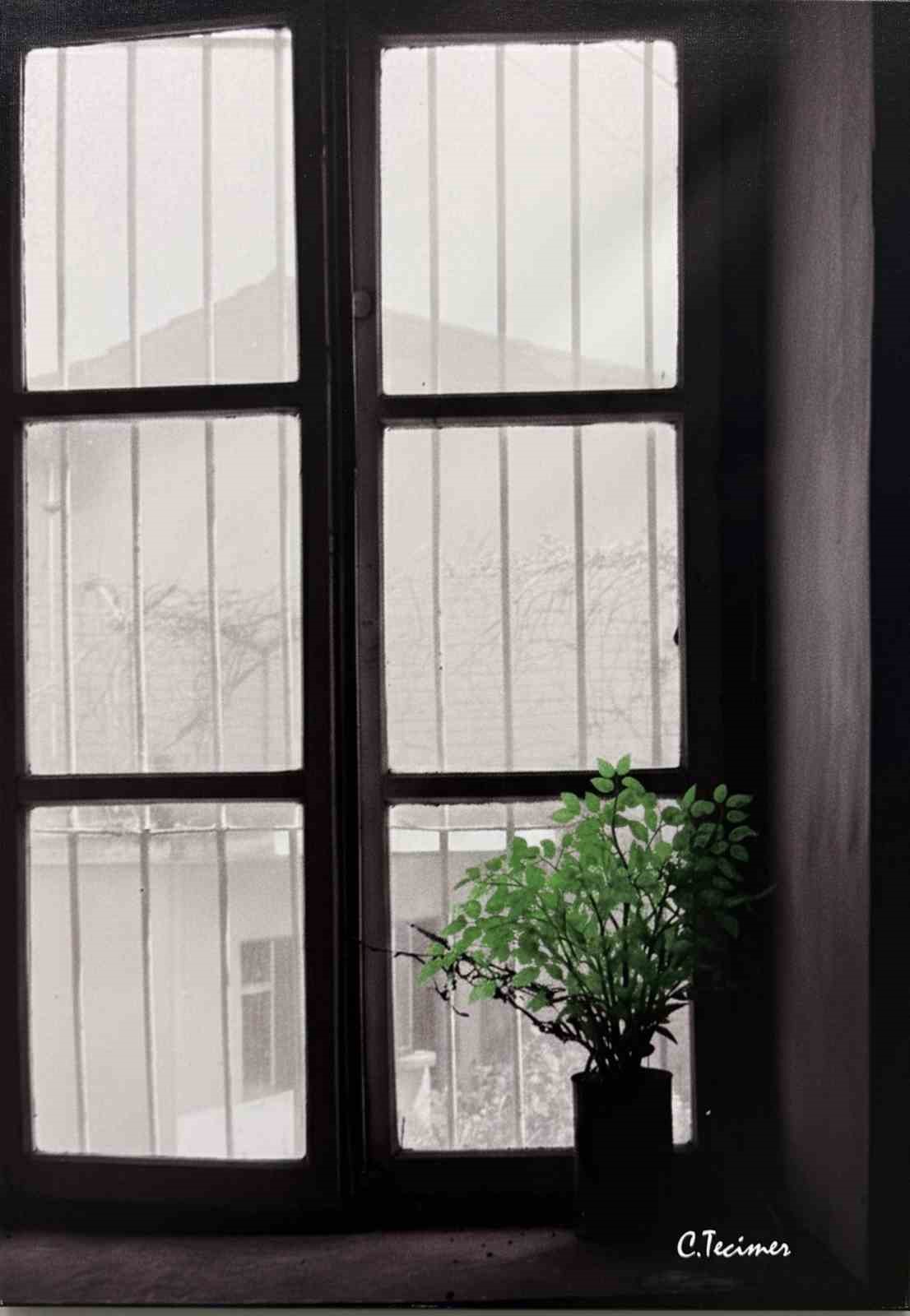 SANKO Sanat Galerisinde fotoğraf sergisi açıldı
SANKO Sanat Galerisinde fotoğraf sergisi açıldı