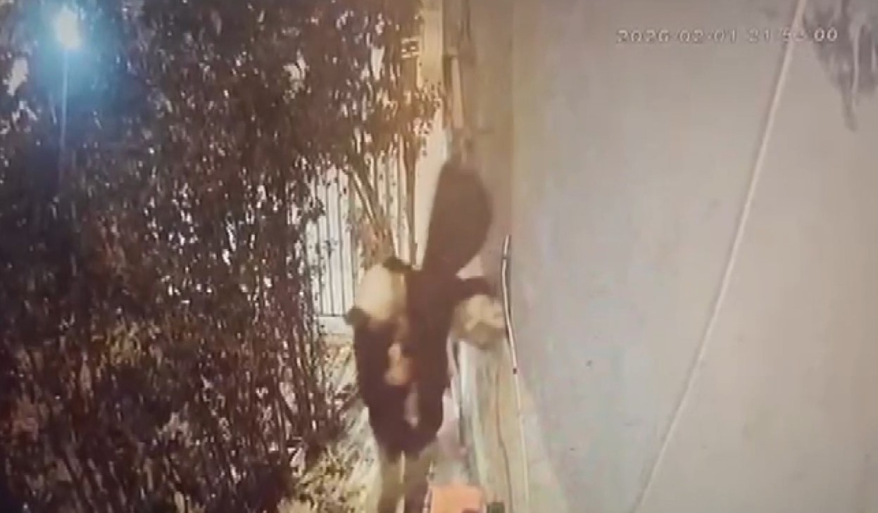 Şanlıurfa’da 100 bin lirayı çalan şüpheli kameraya yansıdı
