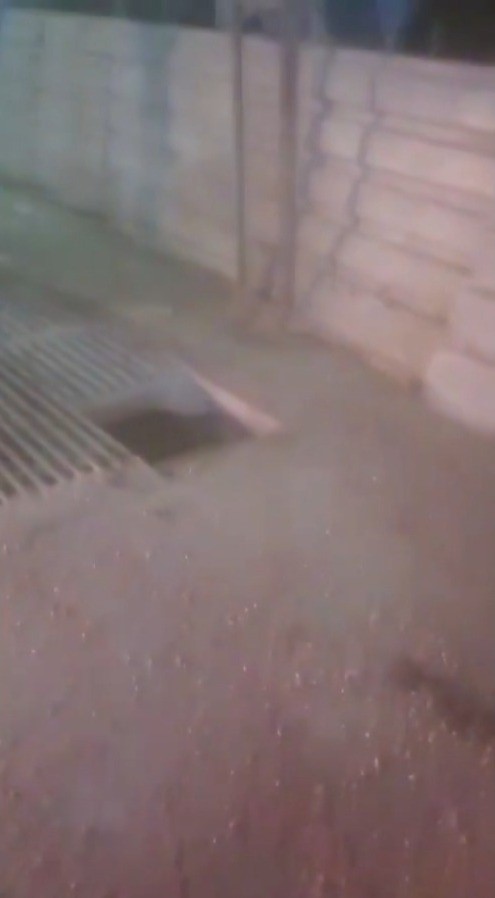 Şanlıurfa’da mısır silosuna düşen işçi hayatını kaybetti
