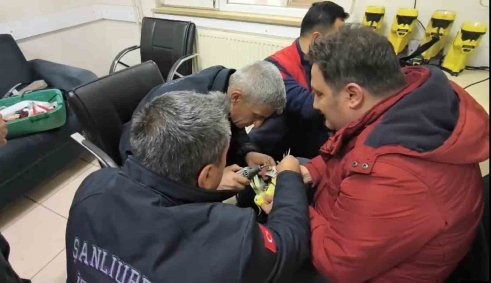 Şanlıurfa’da papağanın ayağına sıkışan halhal itfaiye ekiplerinin operasyonuyla çıkarıldı
