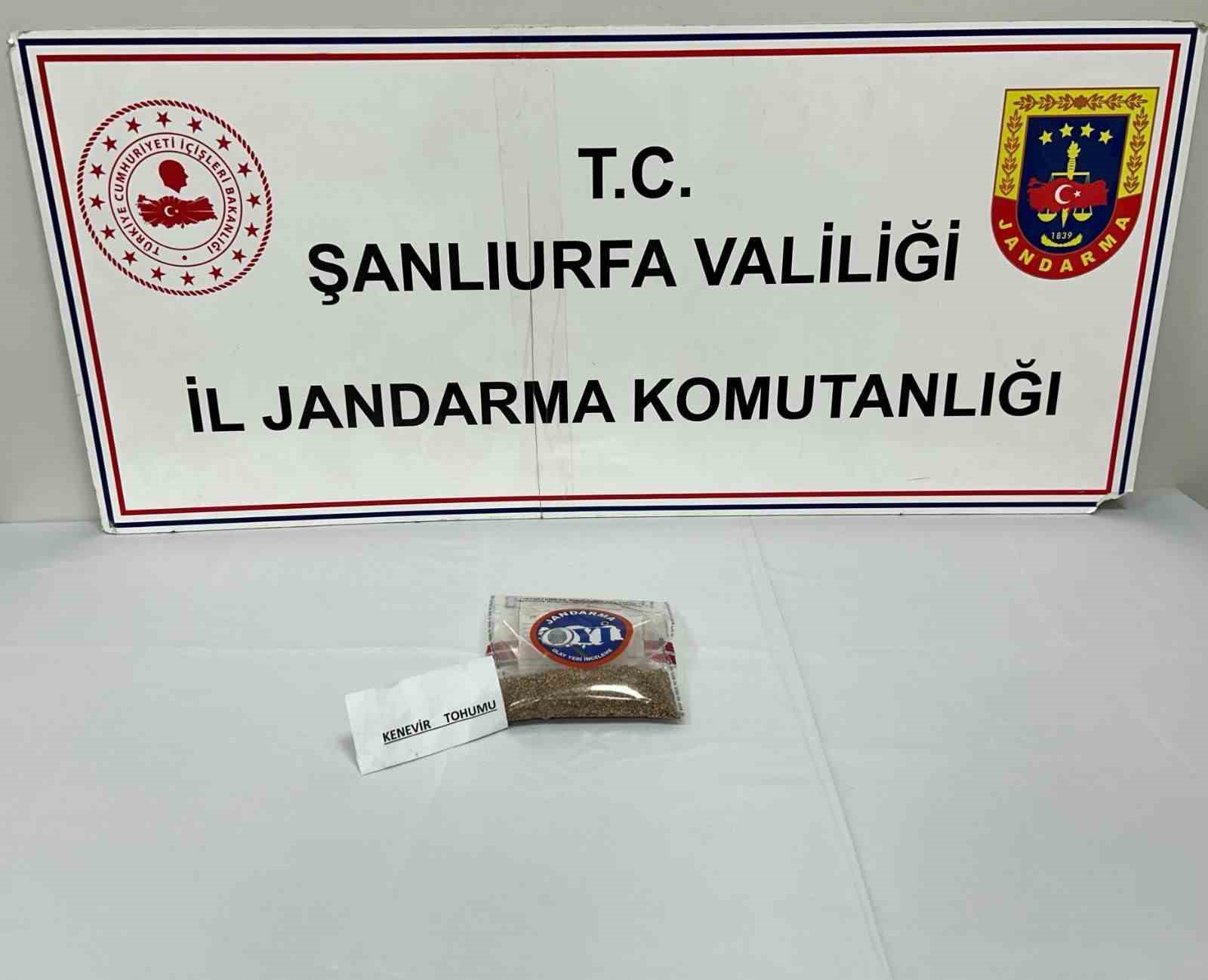 Şanlıurfa’da silah ve uyuşturucu ele geçirildi: 8 şüpheliye işlem yapıldı
