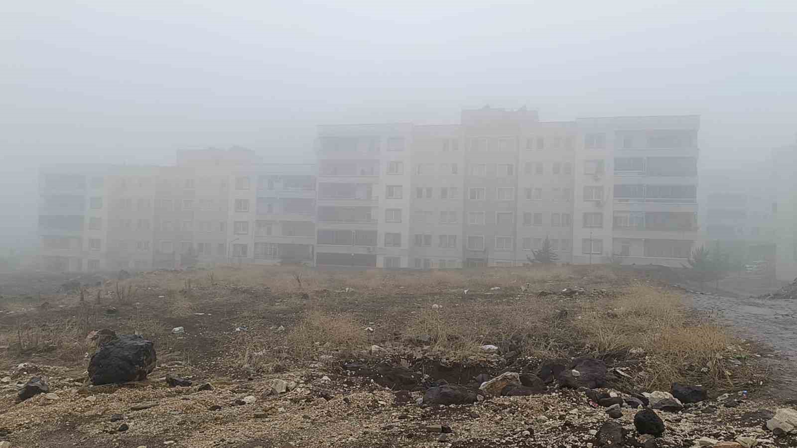 Şanlıurfa’da yoğun sis ve yağmur etkili oluyor
