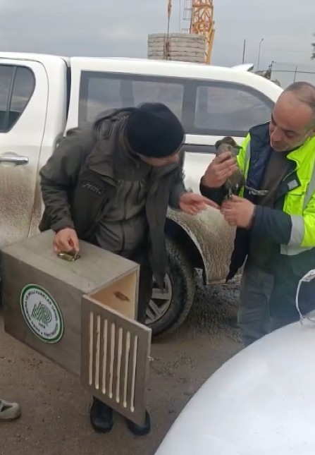 Şantiyede yaralı halde bulduğu ördeğe çocuğu gibi baktı
Şantiyede yaralı halde bulduğu ördeğe çocuğu gibi baktı