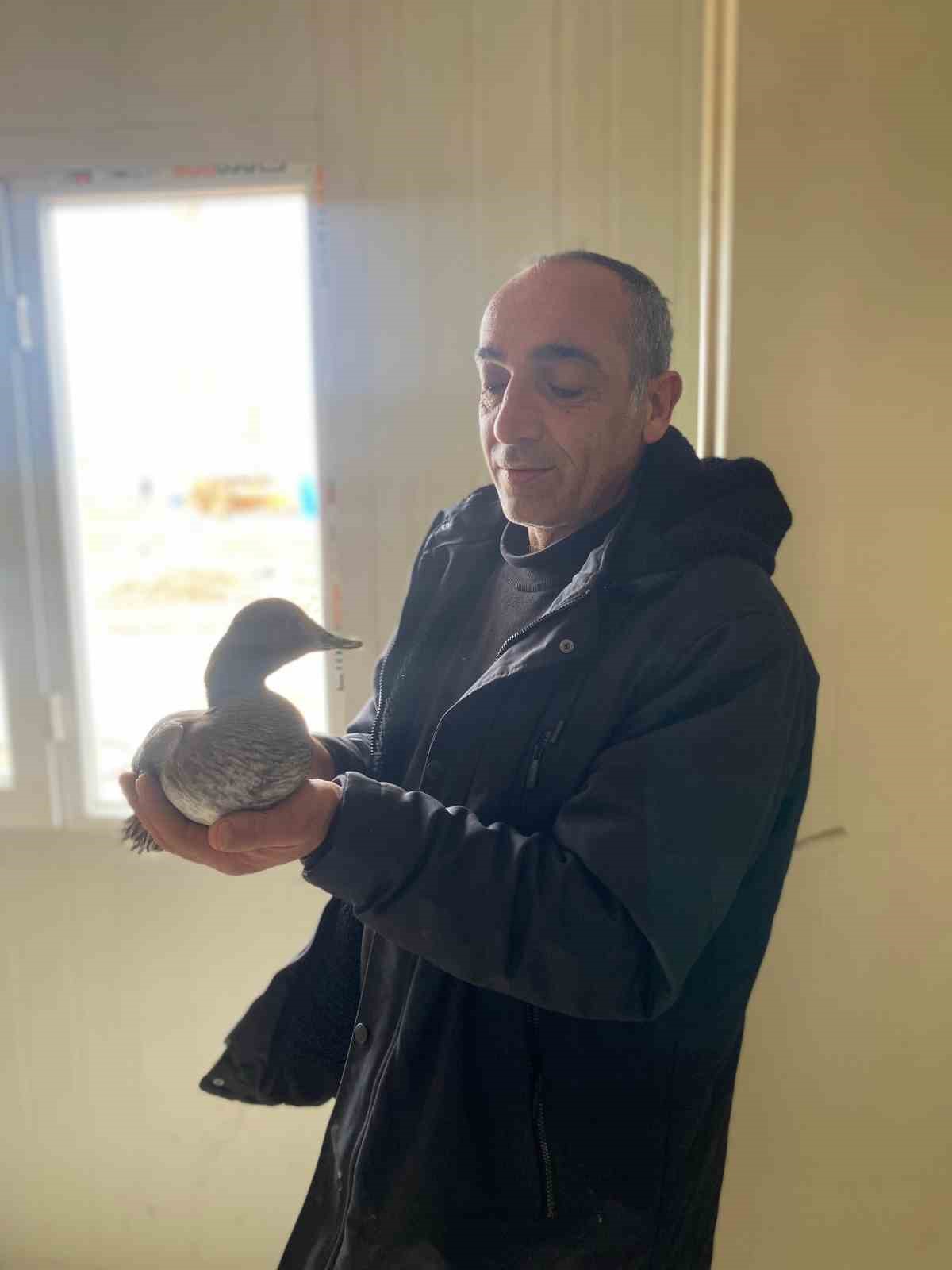 Şantiyede yaralı halde bulduğu ördeğe çocuğu gibi baktı
Şantiyede yaralı halde bulduğu ördeğe çocuğu gibi baktı