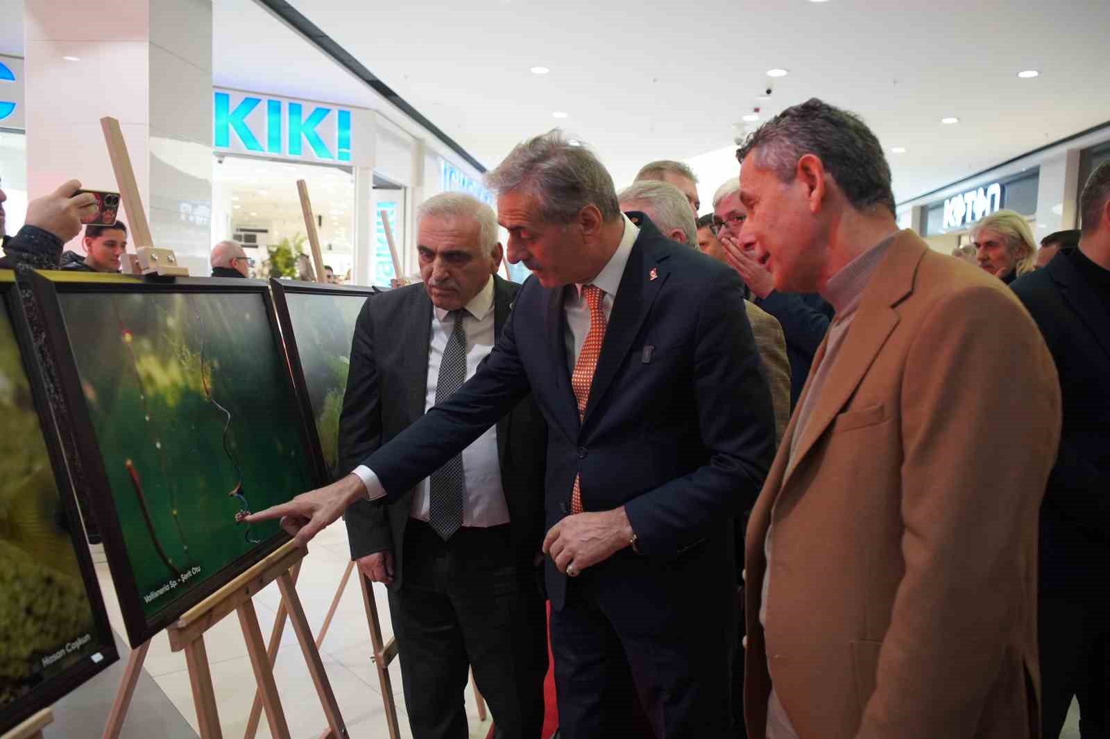 Sapanca Gölü fotoğrafları Gazze için umuda dönüştü: Geliri yetim ve öksüz çocuklara bağışlanacak
