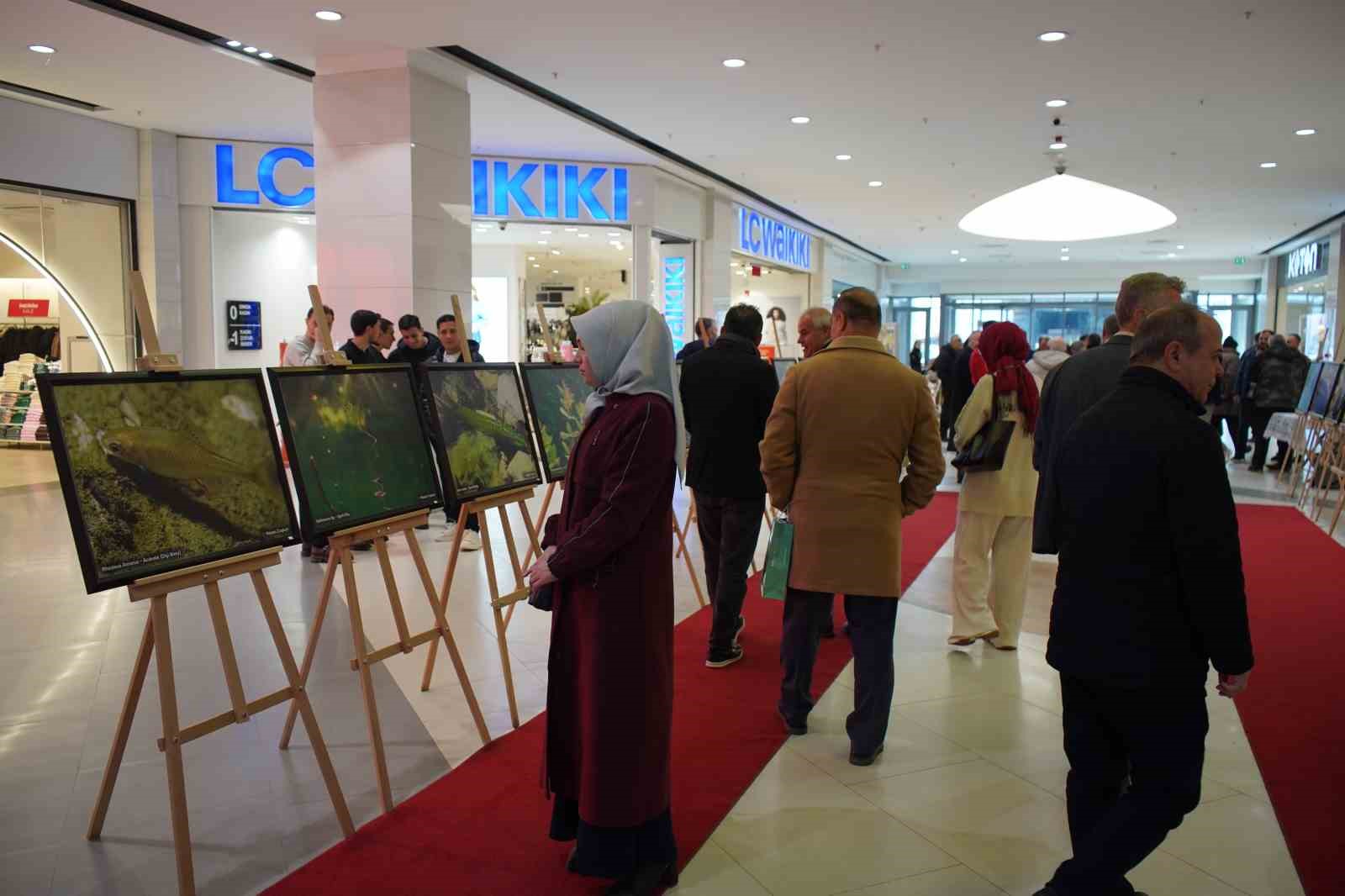 Sapanca Gölü fotoğrafları Gazze için umuda dönüştü: Geliri yetim ve öksüz çocuklara bağışlanacak
