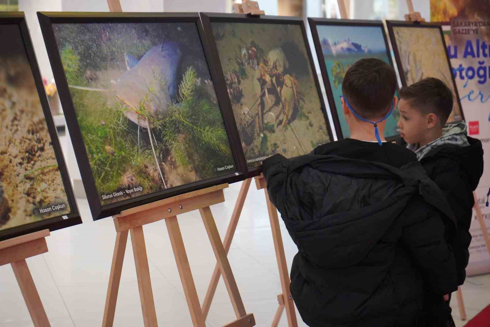 Sapanca Gölü fotoğrafları Gazze için umuda dönüştü: Geliri yetim ve öksüz çocuklara bağışlanacak
