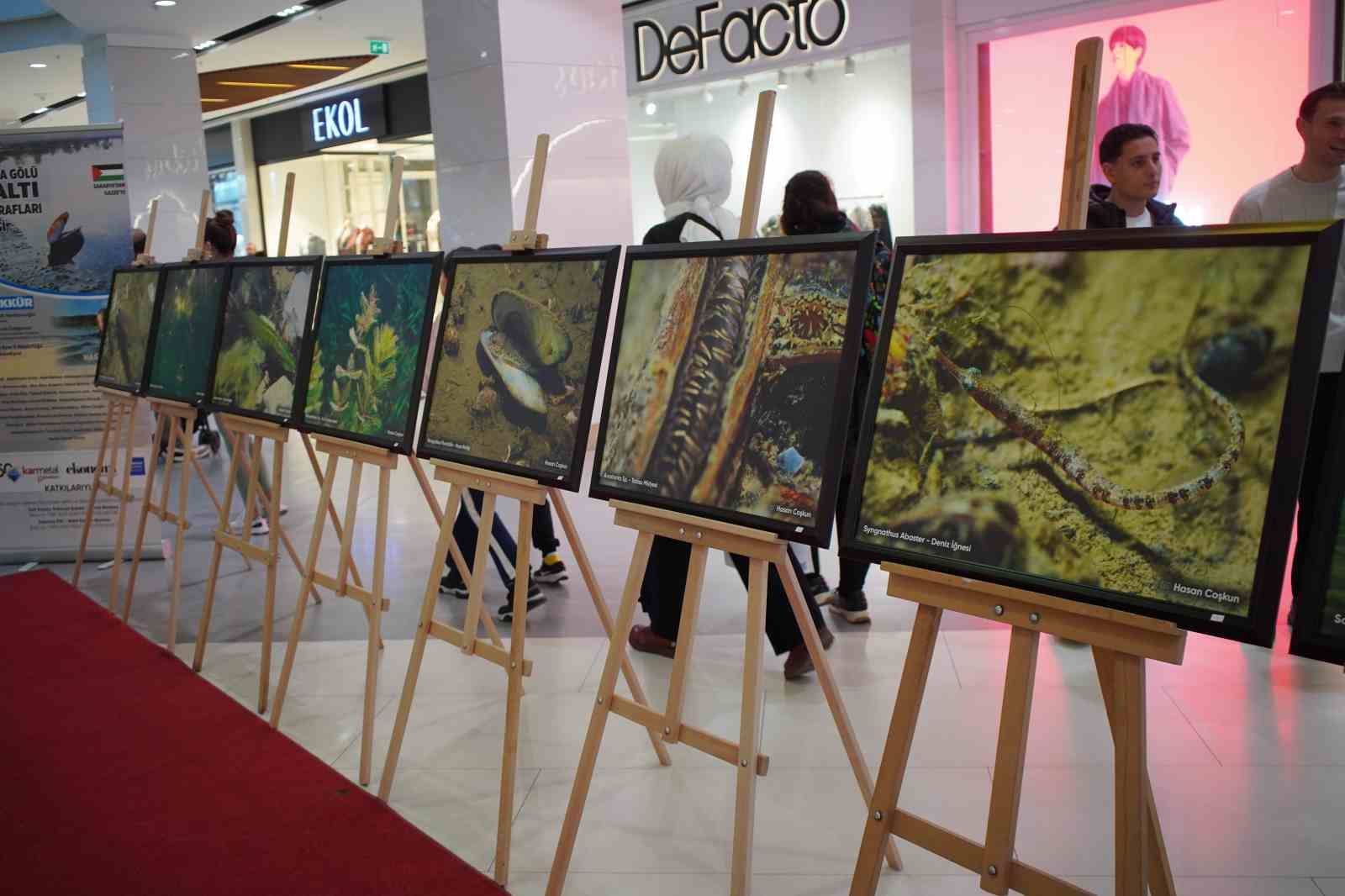 Sapanca Gölü fotoğrafları Gazze için umuda dönüştü: Geliri yetim ve öksüz çocuklara bağışlanacak
