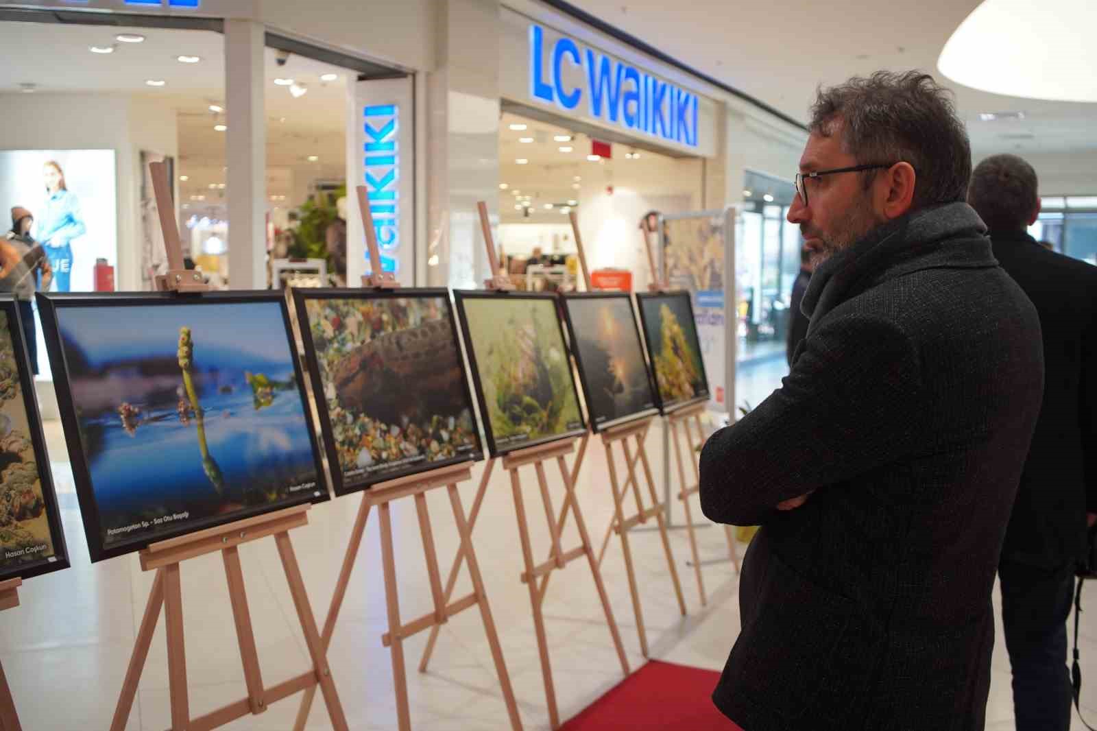 Sapanca Gölü fotoğrafları Gazze için umuda dönüştü: Geliri yetim ve öksüz çocuklara bağışlanacak
